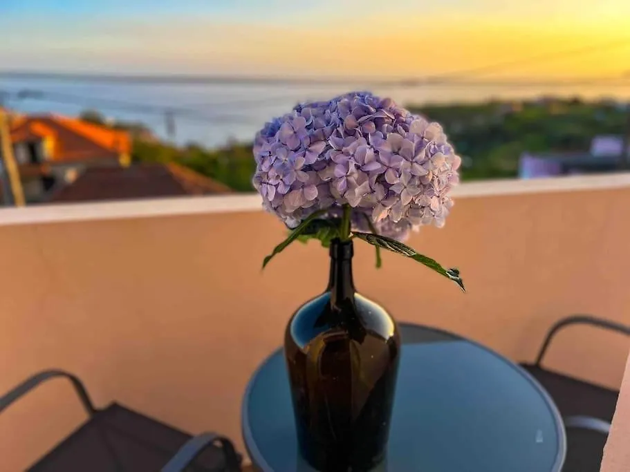 Apartment 1Br Hills Over Ponta Do Sol, Sea View  Ponta do Sol (Madeira)